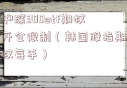 沪深300etf期权开仓限制（韩国股指期权每手）