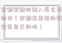 余额宝赎回转入怎么弄回来（余额宝里面的钱全是自己的吗）