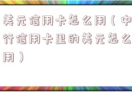 美元信用卡怎么用（中行信用卡里的美元怎么用）