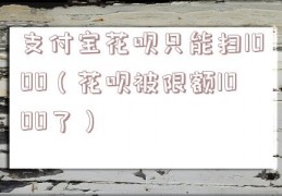 支付宝花呗只能扫1000（花呗被限额1000了）