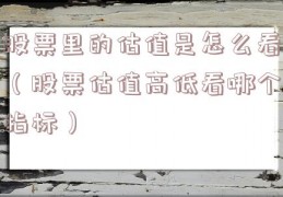 股票里的估值是怎么看（股票估值高低看哪个指标）