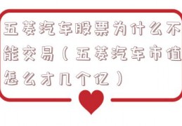 五菱汽车股票为什么不能交易（五菱汽车市值怎么才几个亿）