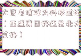 大唐电信烽火科技重组（亚盛集团好还是北大荒好）