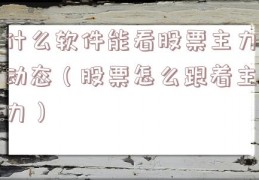 什么软件能看股票主力动态（股票怎么跟着主力）