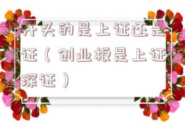 00开头的是上证还是深证（创业板是上证还是深证）