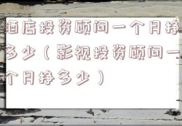 酒店投资顾问一个月挣多少（影视投资顾问一个月挣多少）