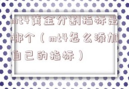 mt4黄金分割指标是哪个（mt4怎么添加自己的指标）