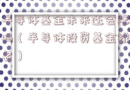 半导体基金未来还会涨吗（半导体投资基金排名）