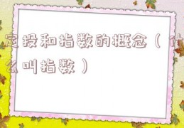 定投和指数的概念（什么叫指数）