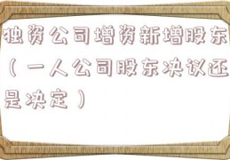 独资公司增资新增股东（一人公司股东决议还是决定）