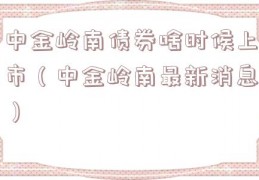 中金岭南债券啥时候上市（中金岭南最新消息）