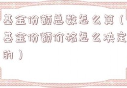 基金份额总数怎么算（基金份额价格怎么决定的）