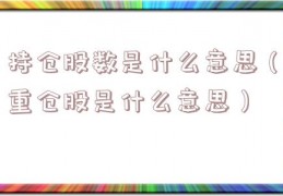 持仓股数是什么意思（重仓股是什么意思）