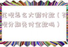 花呗怎么大额付款（花呗分期先付全款吗）