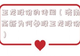 玉龙股份的传闻（济南高新为何参股玉龙股份）