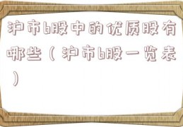 沪市b股中的优质股有哪些（沪市b股一览表）