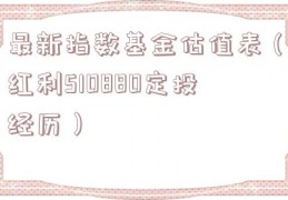 最新指数基金估值表（红利510880定投经历）