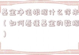 基金净值根据什么得来（如何看懂基金的数据）