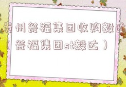 贵州瓮福集团收购毅达（瓮福集团st毅达）