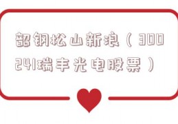 韶钢松山新浪（300241瑞丰光电股票）