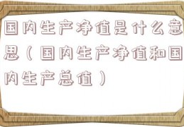 国内生产净值是什么意思（国内生产净值和国内生产总值）