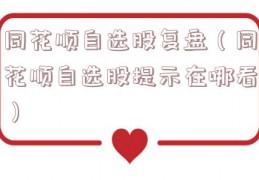 同花顺自选股复盘（同花顺自选股提示在哪看）