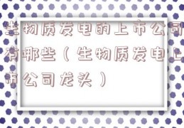 生物质发电的上市公司有哪些（生物质发电上市公司龙头）