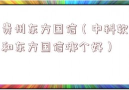 贵州东方国信（中科软和东方国信哪个好）