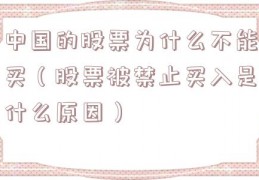 中国的股票为什么不能买（股票被禁止买入是什么原因）