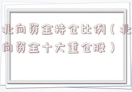 北向资金持仓比例（北向资金十大重仓股）