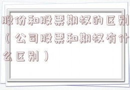 股份和股票期权的区别（公司股票和期权有什么区别）