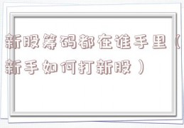 新股筹码都在谁手里（新手如何打新股）