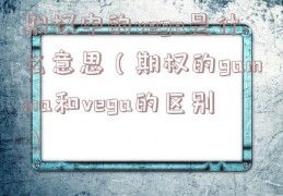 期权中的vega是什么意思（期权的gamma和vega的区别）