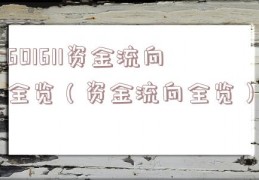 601611资金流向全览（资金流向全览）