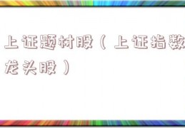 上证题材股（上证指数龙头股）