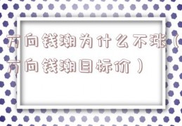 万向钱潮为什么不涨（万向钱潮目标价）