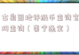 古泉园地评级币查询官网查询（崇宁通宝）