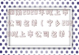 湖南2020年拟上市公司名单（宁乡2020拟上市公司名单）
