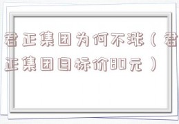 君正集团为何不涨（君正集团目标价80元）