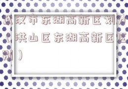 武汉市东湖高新区划分（洪山区东湖高新区区别）