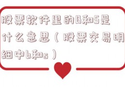 股票软件里的B和S是什么意思（股票交易明细中b和s）