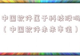 中国软件属于科技股吗（中国软件未来市值）