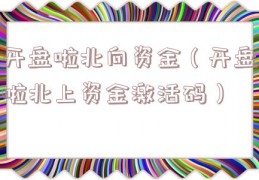 开盘啦北向资金（开盘啦北上资金激活码）
