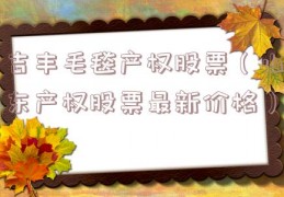 吉丰毛毯产权股票（山东产权股票最新价格）
