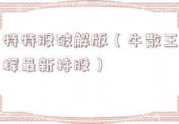 特特股破解版（牛散王辉最新持股）