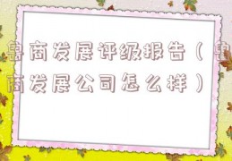 鲁商发展评级报告（鲁商发展公司怎么样）