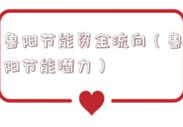 鲁阳节能资金流向（鲁阳节能潜力）