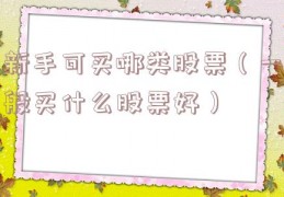 新手可买哪类股票（一般买什么股票好）