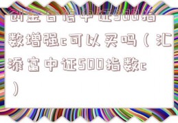创金合信中证500指数增强c可以买吗（汇添富中证500指数c）