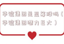 华谊集团是蓝筹股吗（华谊集团潜力巨大）